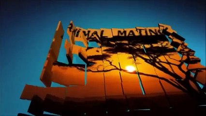 Animals mate Big Turtle reproduction Hard✔ Kapumbağ çiftleşmesi