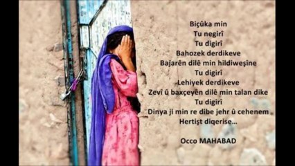 Metin Barlık-Mem û Zînê