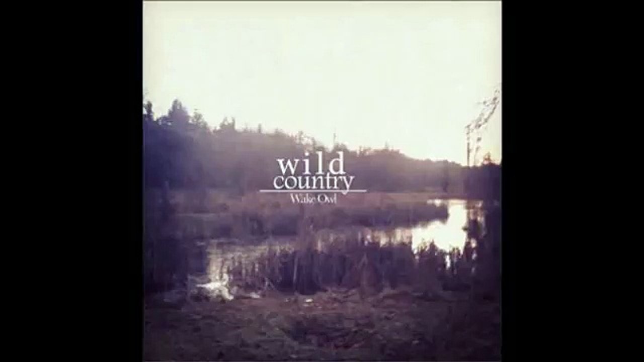 Wake Owl- Gold