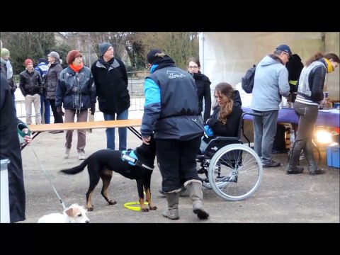 Hartiste, chienne d'assistance, court métrage par Histoires de Chiens