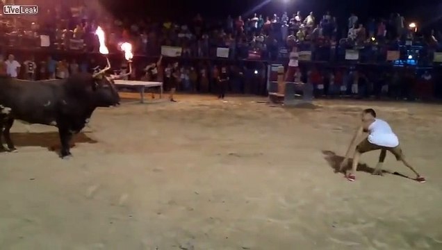 Boğa İle Şaka Olmaz