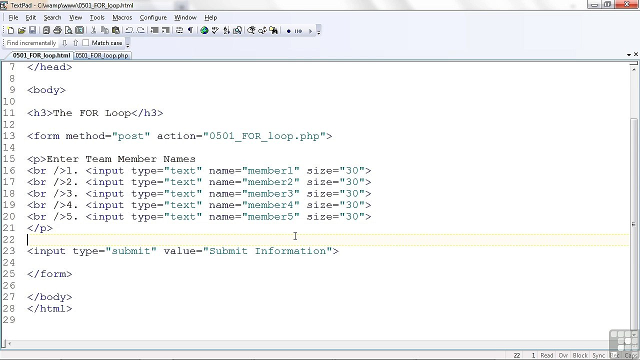 Web Design The for Loop