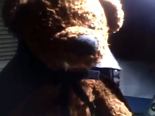 Ask Vampire Bear - Friends with Werewolves?