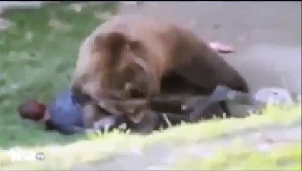 Animal Attack Compilation Caught On Camera 2013