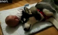Il bambino e il cane............piangono che dolci