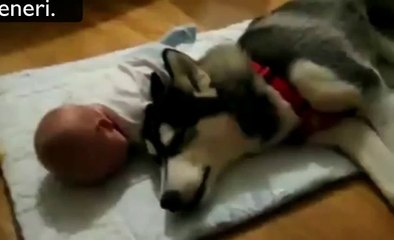 Il bambino e il cane............piangono che dolci