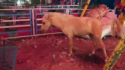 Heroine Kajal Aggarwal Makeup Room Shocking Secrets