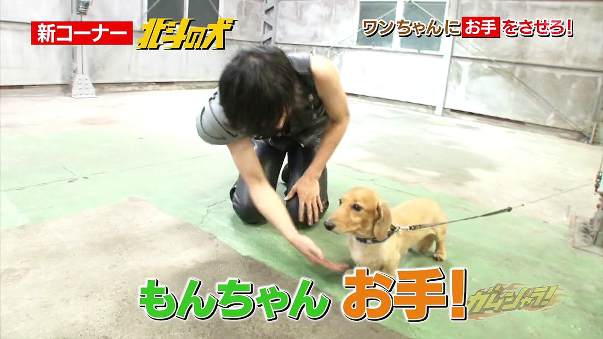 Seiruplalaのガムシャラ 15 Dailymotion