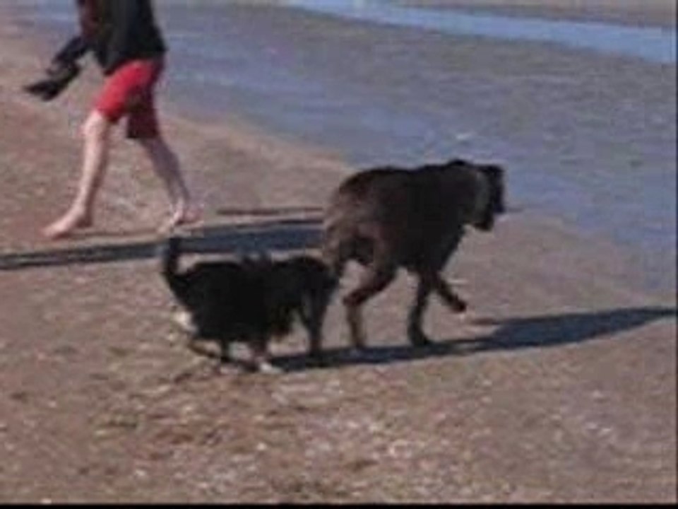 Zoé et Omer à la plage