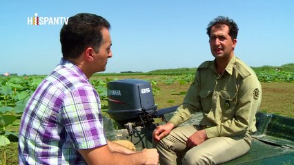 Irán Hoy - La sequía amenaza las lagunas y humedales de Irán