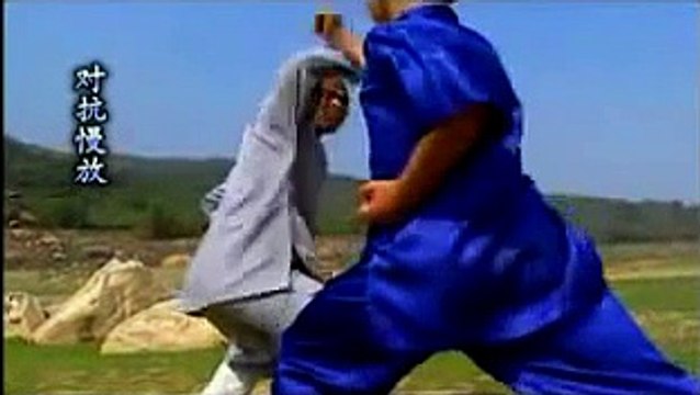 Shaolin small piercing kung fu tong bi quan combat methods