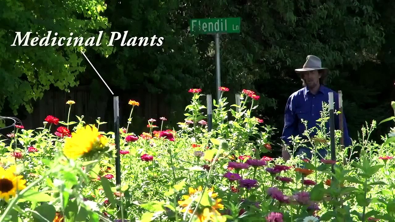 How to make a Food Forest Suburb Trailer