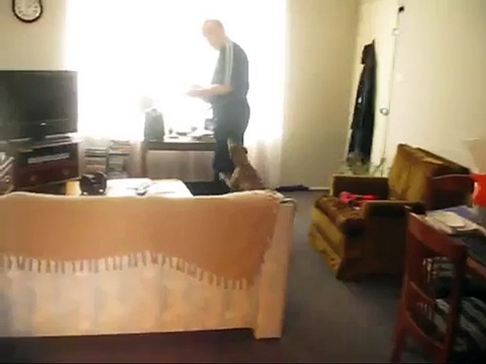 UNPROVOKED DOG ATTACKS MAN  [GRAPHIC].