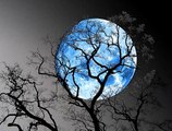 1-Moon-Blue Moon-Moonlight Sonata Beethoven piano