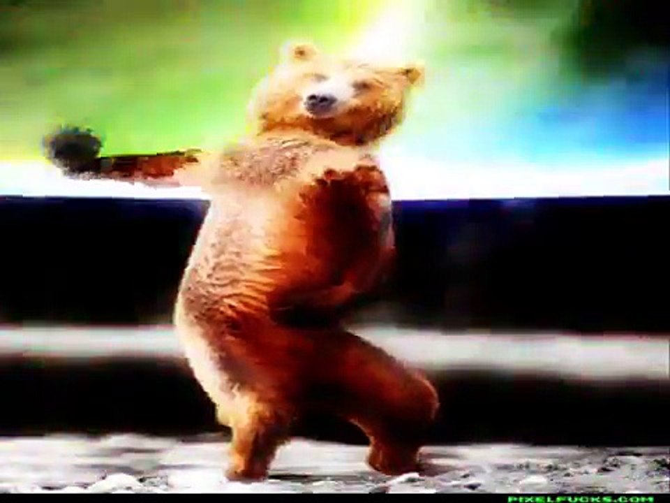 Papo De Jacaré  P.O. Box Remix (Freestyle Music)