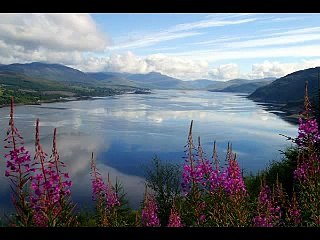Irish Reel Played Traditionally then Remixed