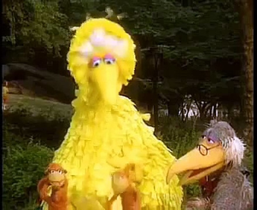 Classic Sesame Street - I'm an aardvark