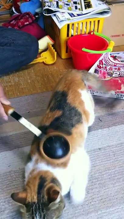 ナナ　とんとんマッサージ