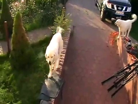 Jeden dzień z podhalanami