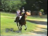 Hannibal - Trakehner Stallion, Horse Trial as a 5-yr-old