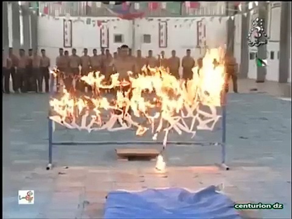 Algérie - Forces Spéciales de l'Armée Nationale Populaire (ANP) - الجيش الجزائري