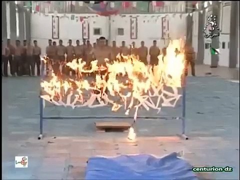 Algérie - Forces Spéciales de l'Armée Nationale Populaire (ANP) - الجيش الجزائري