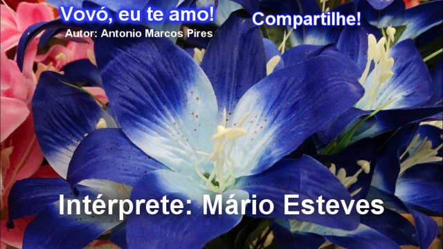 VOVÓ, EU TE AMO! INTÉRPRETE: MÁRIO ESTEVES (AUTOR ANTONIO MARCOS PIRES)