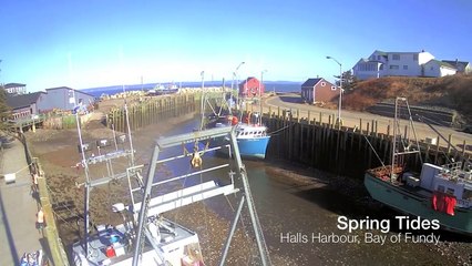 Time-lapse de la marée qui monte dans la baie de Fundy - Hypnotisant