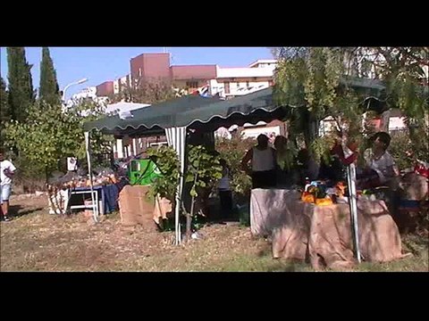 NOTTE DI SAN GIOVANNI BATTISTA A MODUGNO 2015_WMV V9_WMV V9