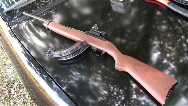 RUGER 10/22 Carbine Reflex Sight (red dot) (POV)