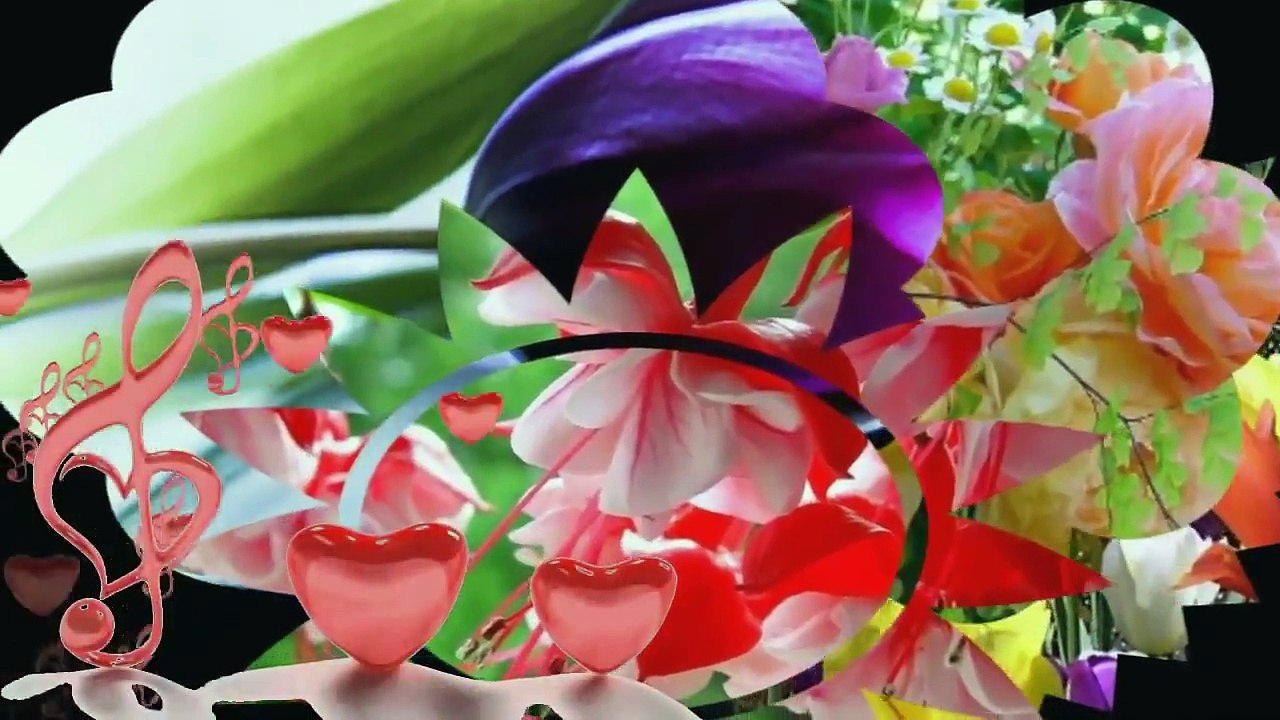 MY WAY - Comme d'habitude