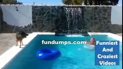 This is why dogs are the best