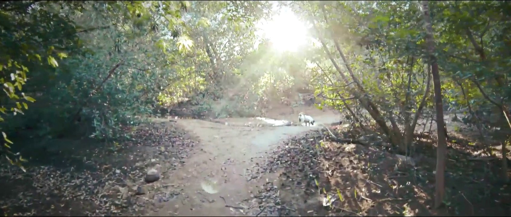 Zoufris Maracas - Pacifique [Clip officiel]