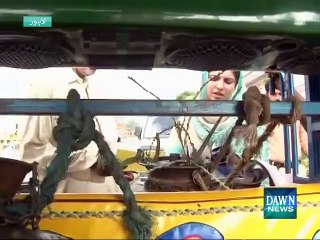 Raid on fake milk producing in Lahore