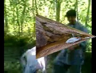 Anwar Zeb, Ahmad  Ali and Adnan Khan fighting in village 11.10.2009