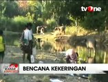 Kekeringan, Warga 2 Desa di Sikka Konsumsi Air Kubangan