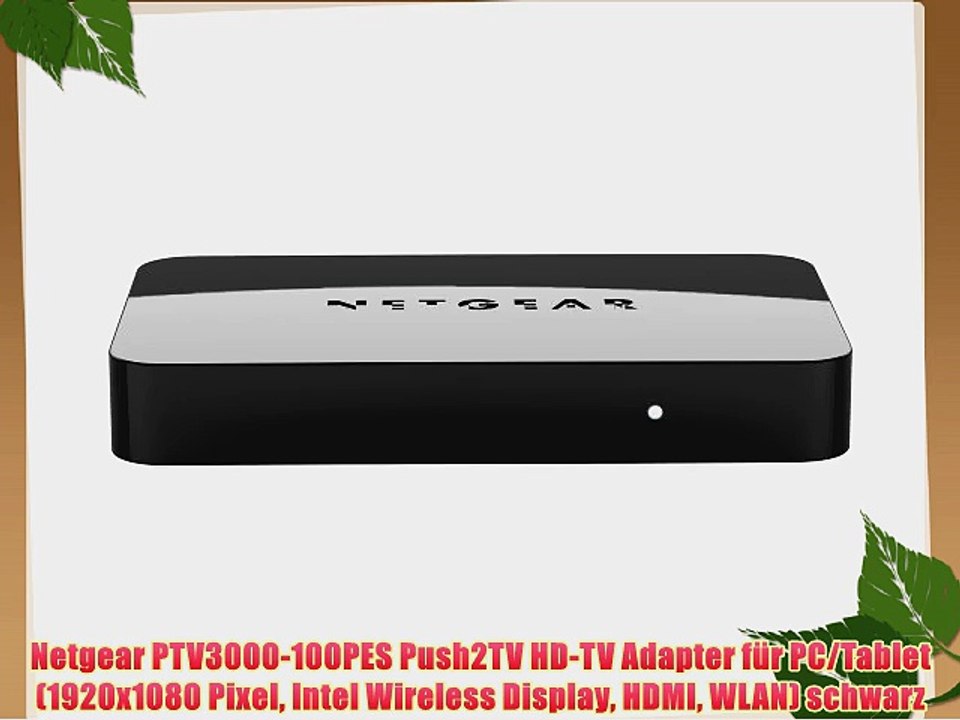 Netgear PTV3000-100PES Push2TV HD-TV Adapter f?r PC/Tablet (1920x1080 Pixel Intel Wireless