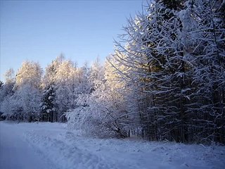 Winter Concerto (Antonio Vivaldi) Largo