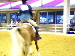 All Gussied Up winning Open Breed Hunter Pleasure class at Summer Fun Show 2008