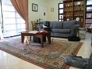 Chloe and Leo after bathtime