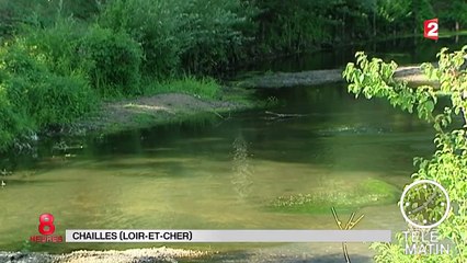 Sécheresse : le niveau des cours d'eau devient inquiétant