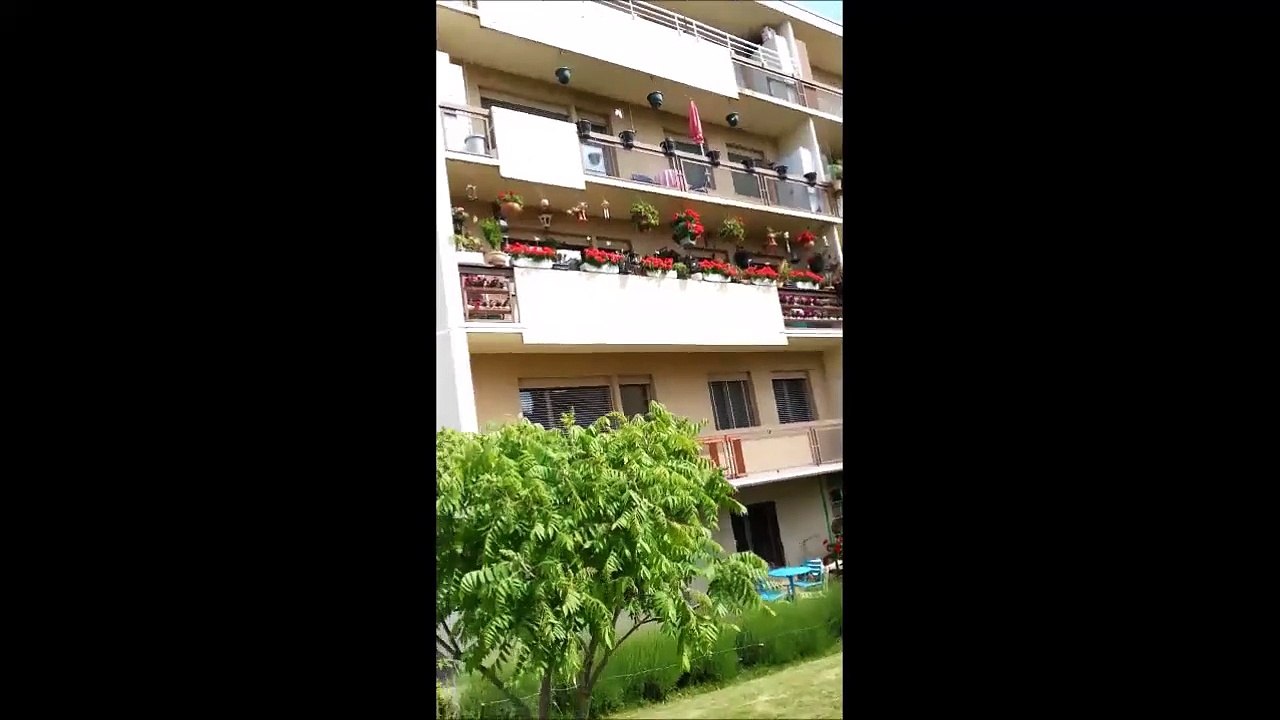 Balade in NYON:  alinovitch 007 walking (31.07.2015) in NYON