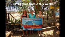 Volunteer Abroad Costa Rica Sea Turtle Conservation with Abroaderview.org