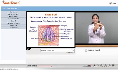 Sample Lecture - Taste Sensation 01