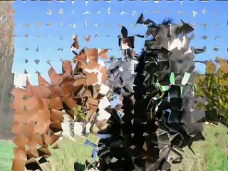 I Wish I Had A Horse