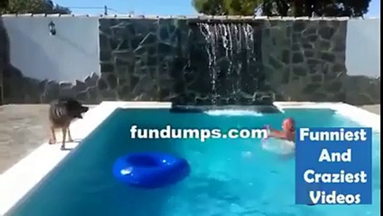 This is why dogs are the best!!