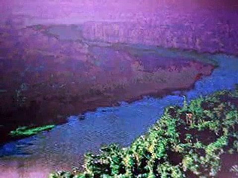 Amazônia o futuro do Brasil está em suas mãos.