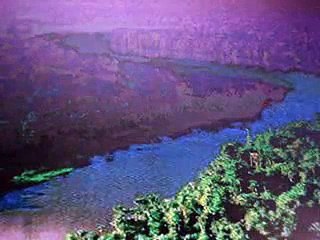 Amazônia o futuro do Brasil está em suas mãos.