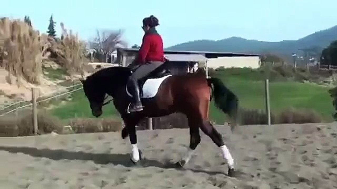 Emperador.