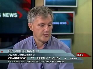 Dr.Charach on the Global Morning News Wednesday May 12th 2010